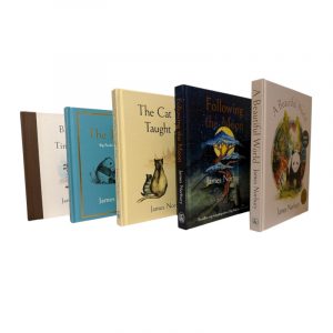 Big Panda and Tiny Dragon, The Journey, The Cat Who Taught Zen, Following the Moon, The Way to a Beautiful World.