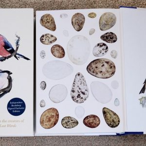 The Book of Birds Indie Deluxe Special edition  Double Signed with Numbered Artwork